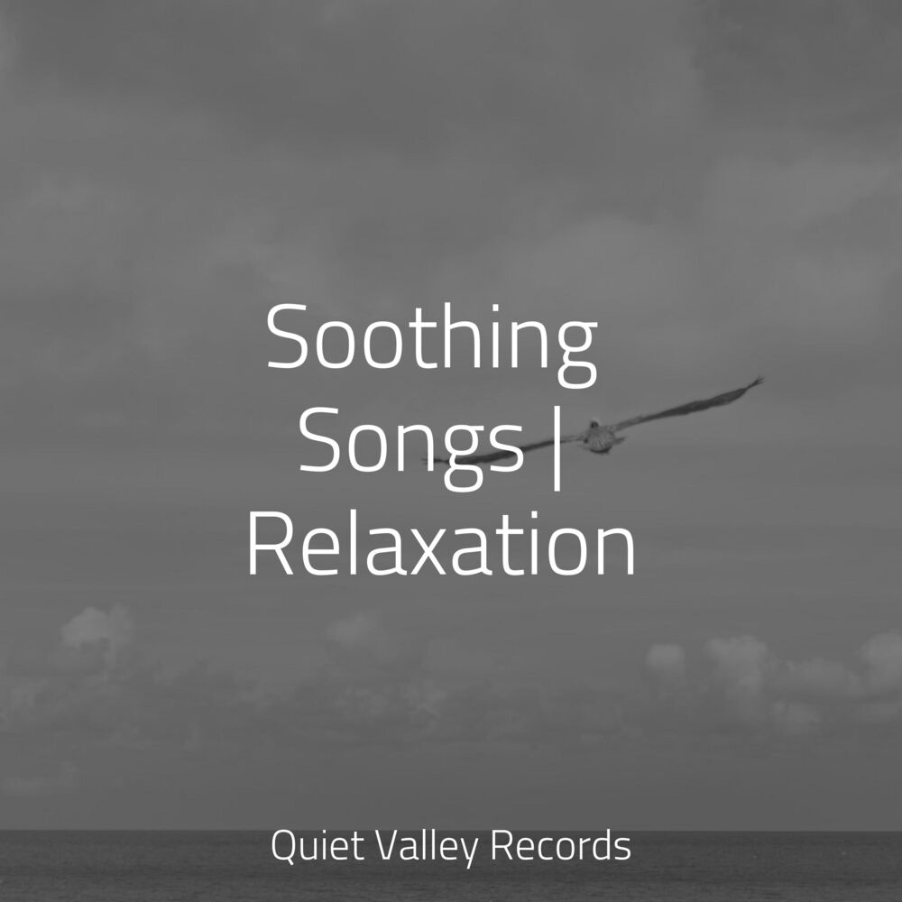 Picture of Soothing Songs | Relaxation