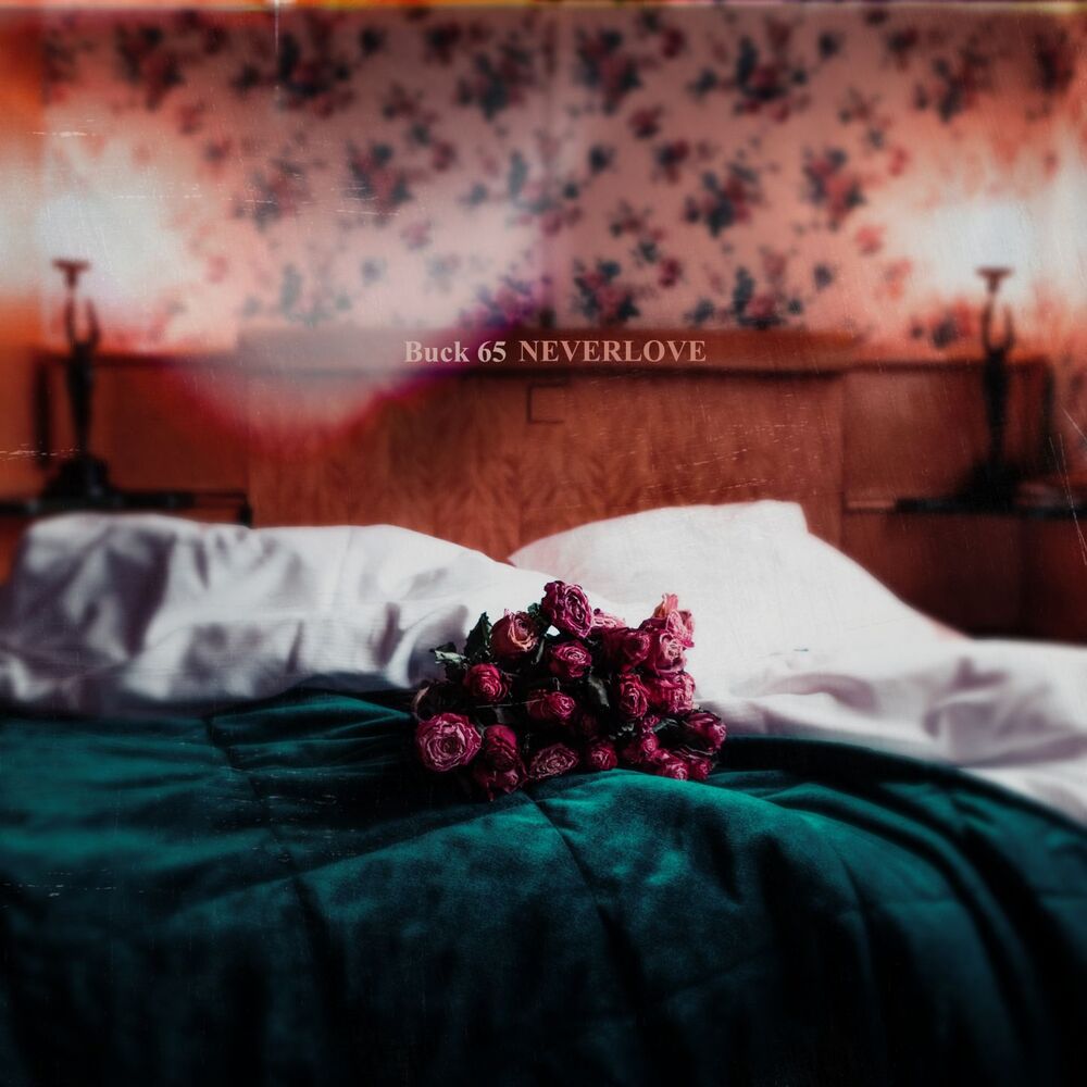 Picture of Neverlove
