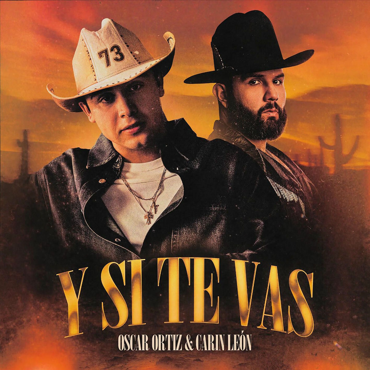 Album cover of Y SI TE VAS