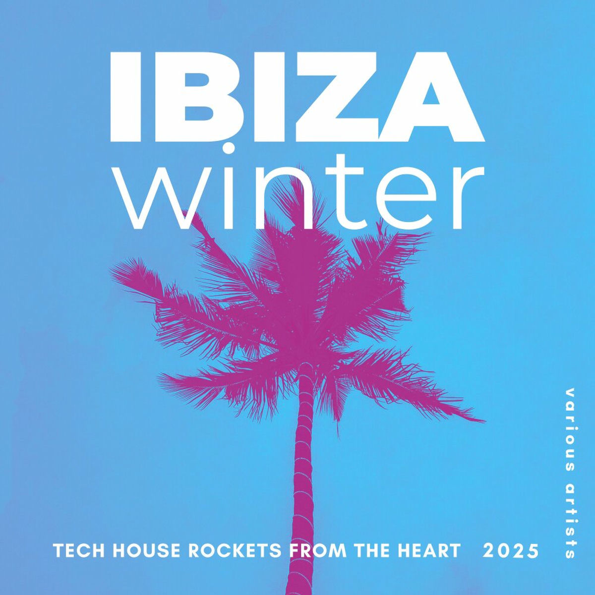 Album cover of Ibiza Winter 2025 (Tech House Rockets from the Heart)