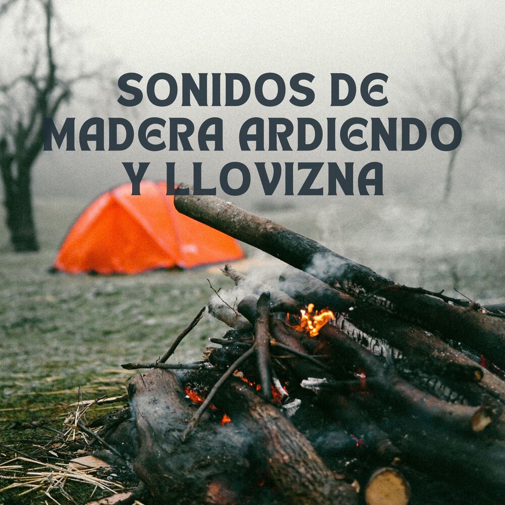 Picture of Sonidos de madera ardiendo y llovizna