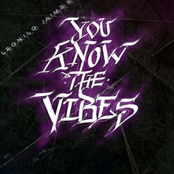 Cover of You Know The Vibes