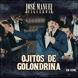 Cover of Ojitos De Golondrina (En Vivo)