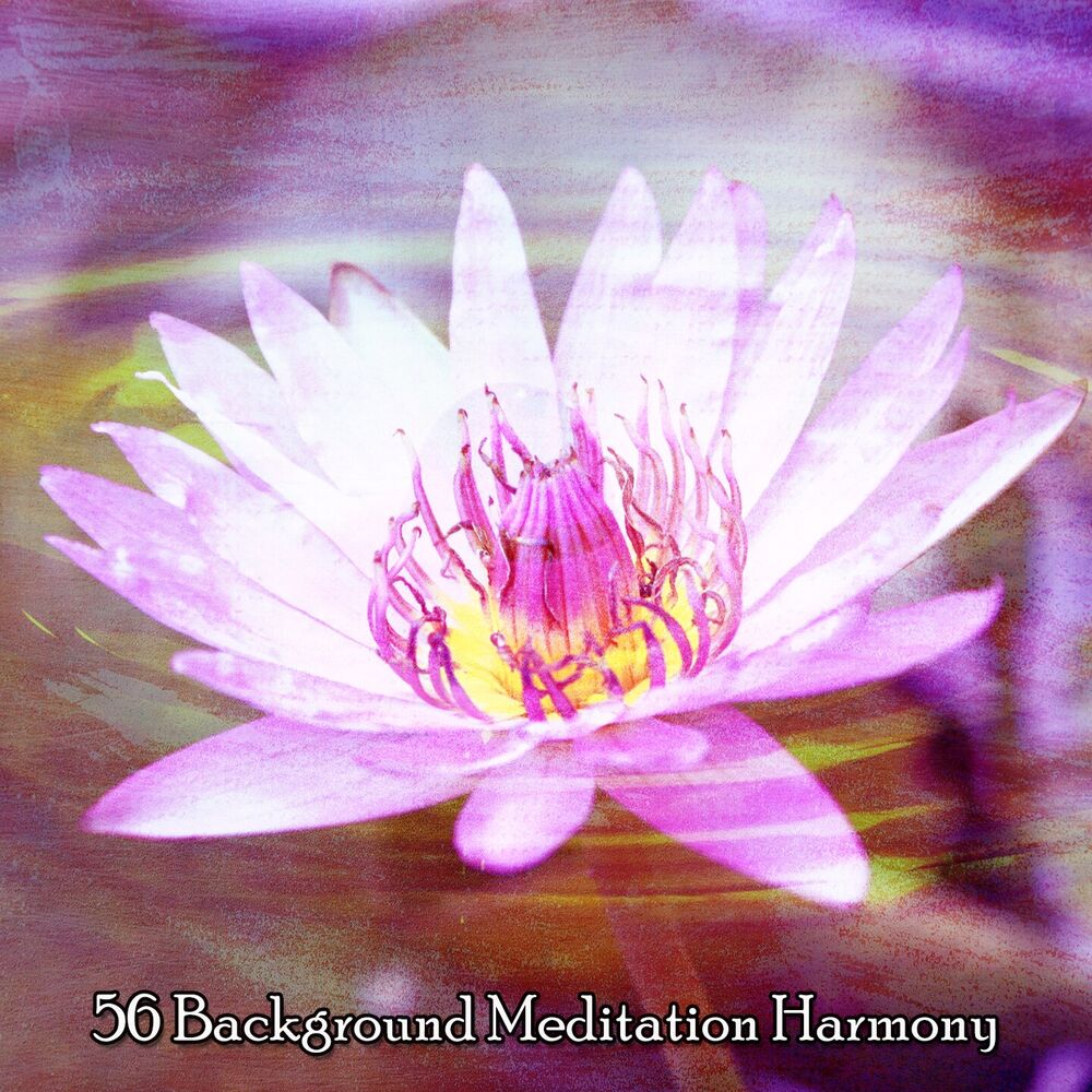 Picture of 56 Background Meditation Harmony