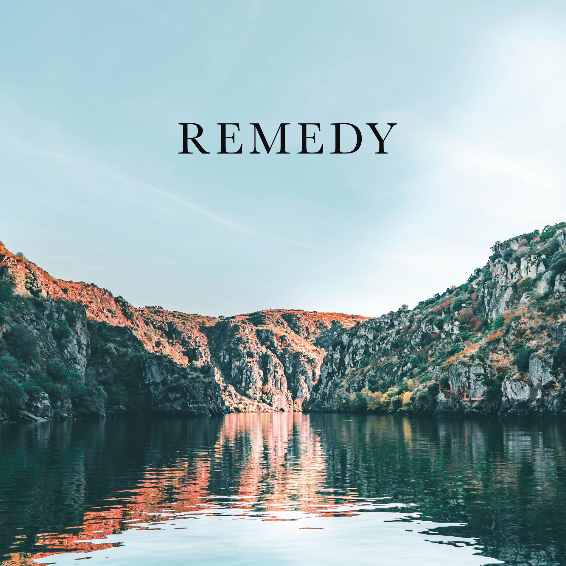 Album cover of Remedy