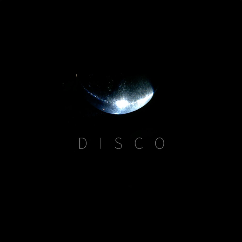 Picture of Disco