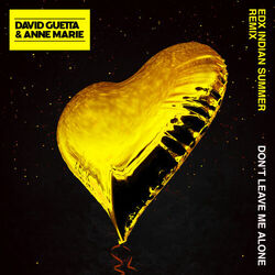 Cover of Don't Leave Me Alone (feat. Anne-Marie) (EDX's Indian Summer Remix)