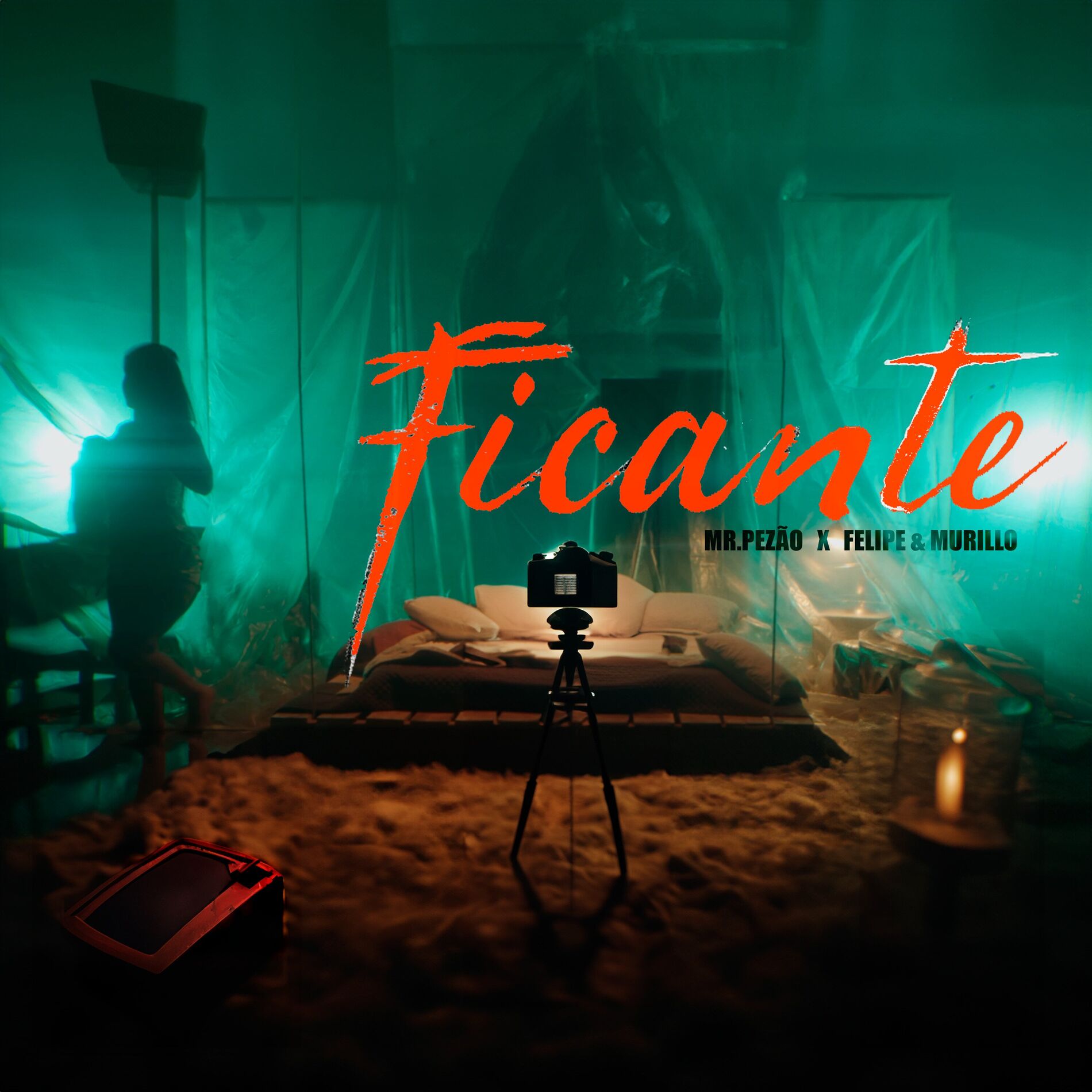 Album cover of Ficante