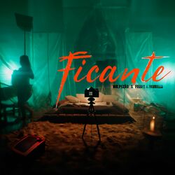 Cover of Ficante
