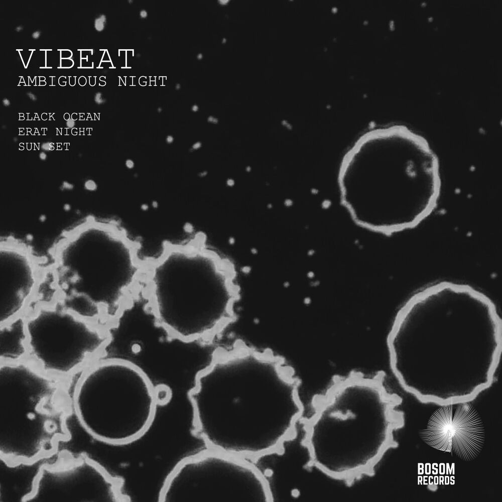 Picture of Ambiguous Night EP