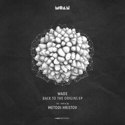Cover of Back To Origins