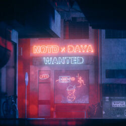 Cover of Wanted