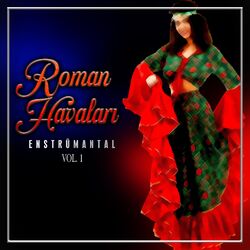 Cover of Roman Havaları Vol.1