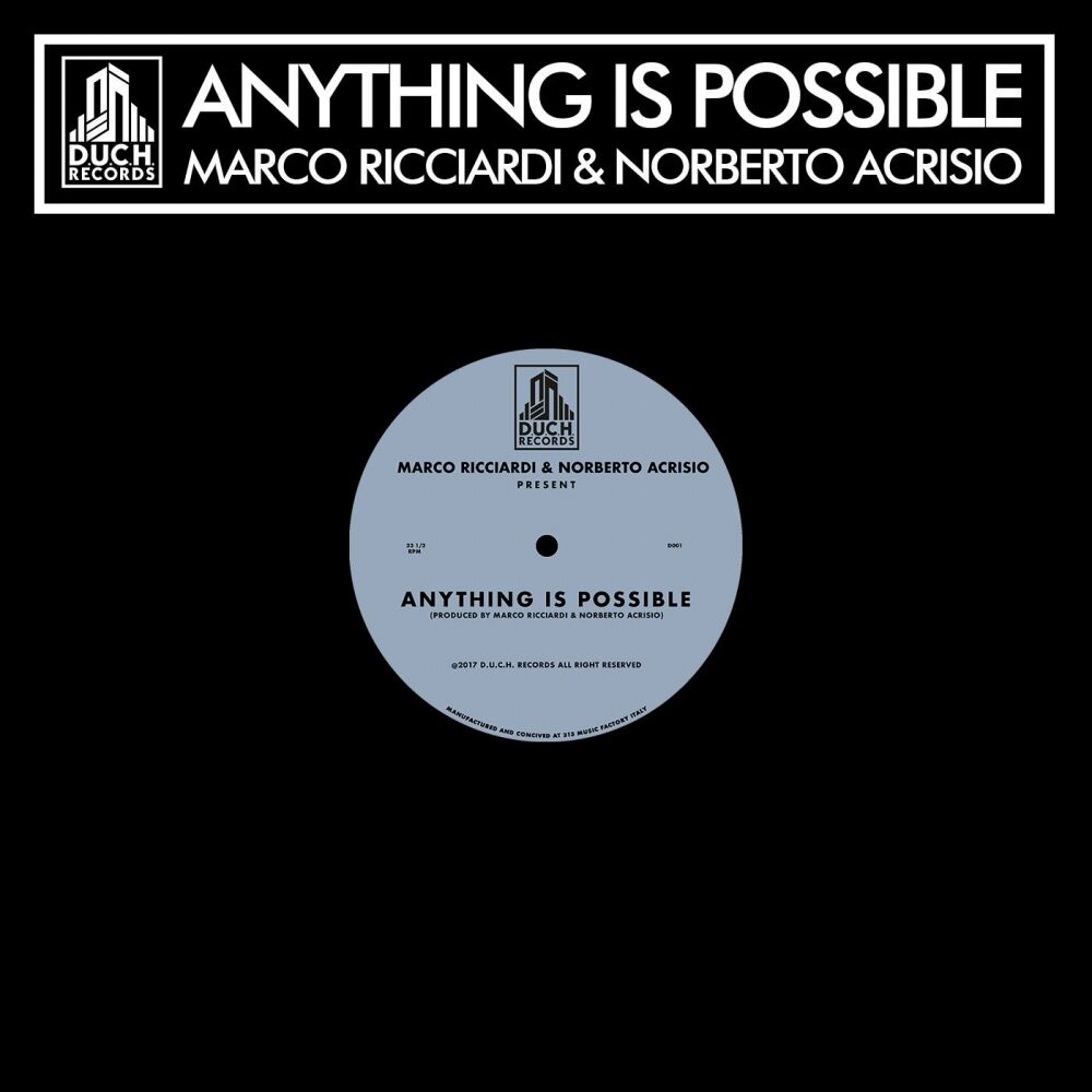 Picture of Anything Is Possible