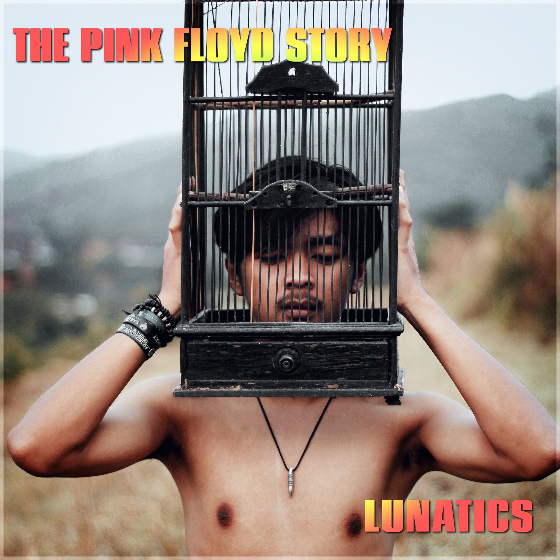 Album cover of Lunatics