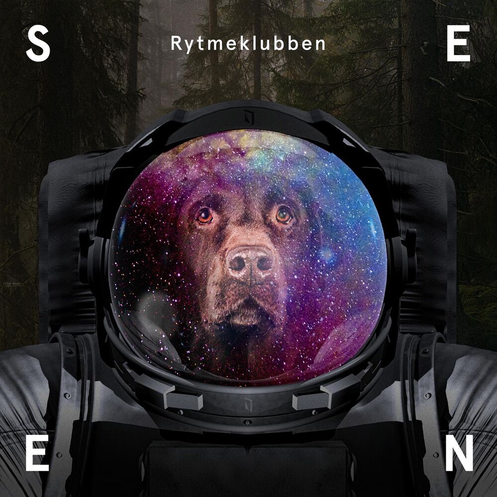 Picture of Seen