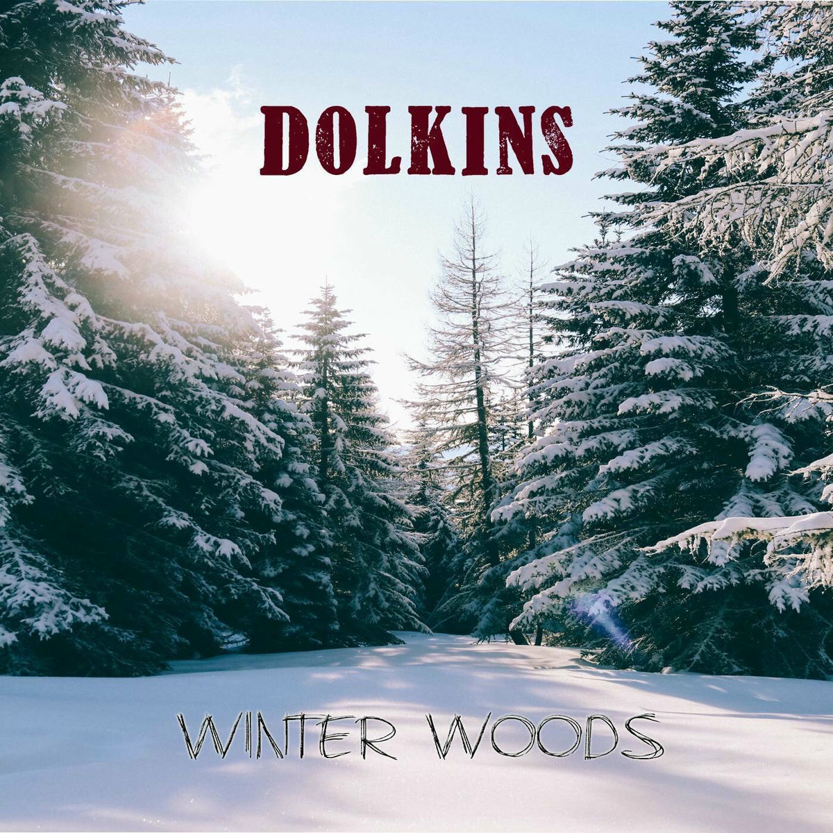 Album cover of Winter Woods