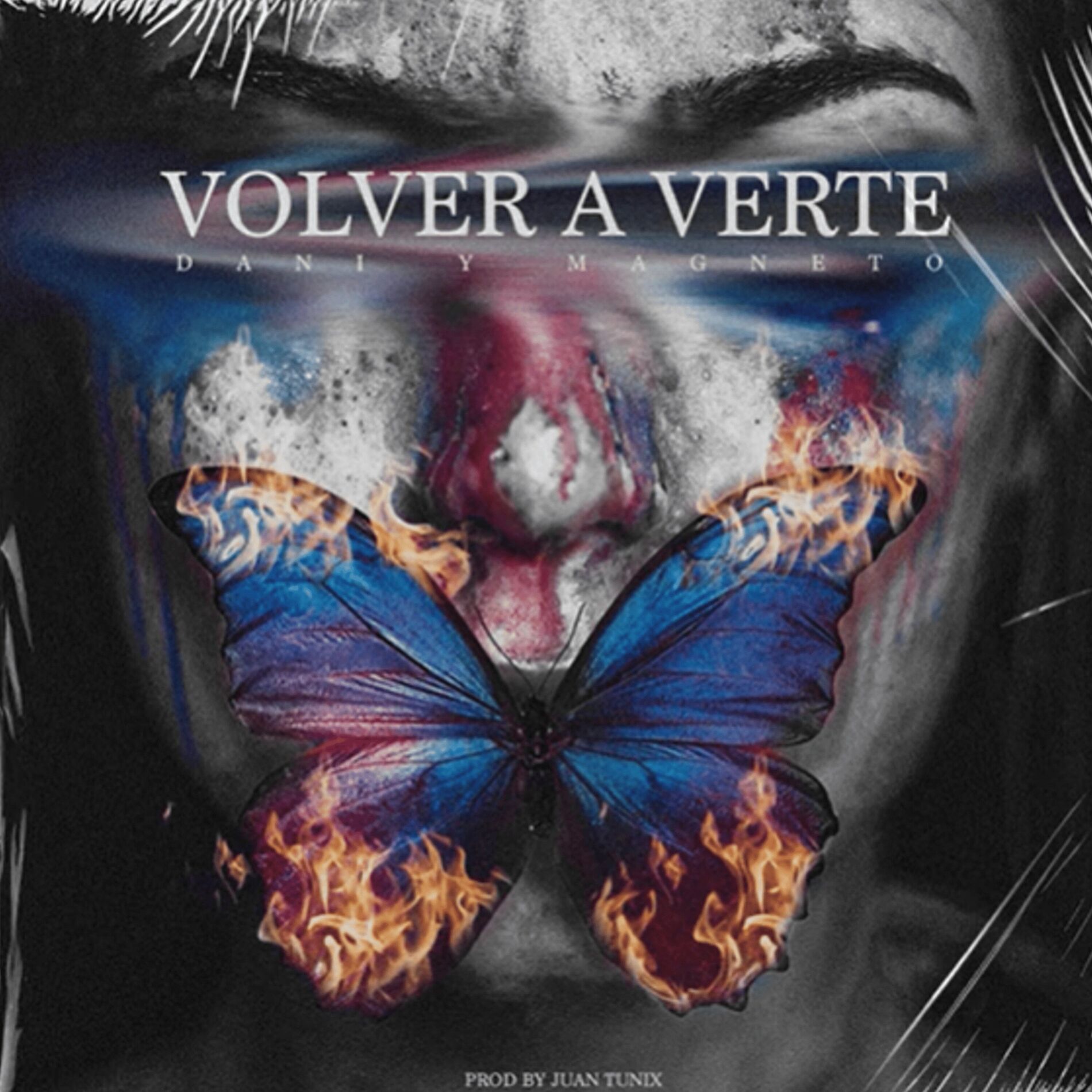 Album cover of Volver a Verte