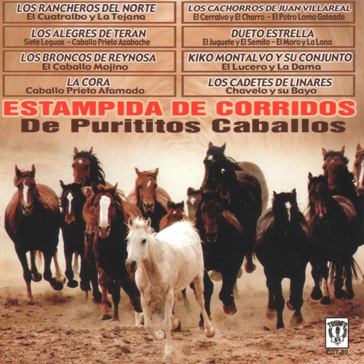 Album cover of Estampida De Corridos De Purititos Caballos