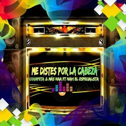 Cover of Me Distes por la Cabeza