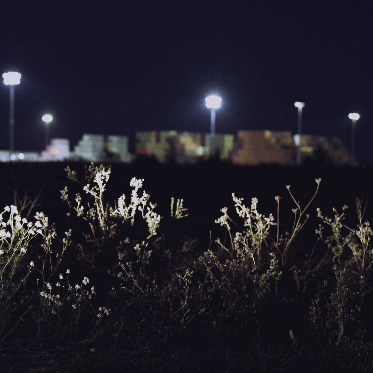 Album cover of Somebody New