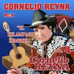 Cover of El Relampago Inmortal, Vol. 4