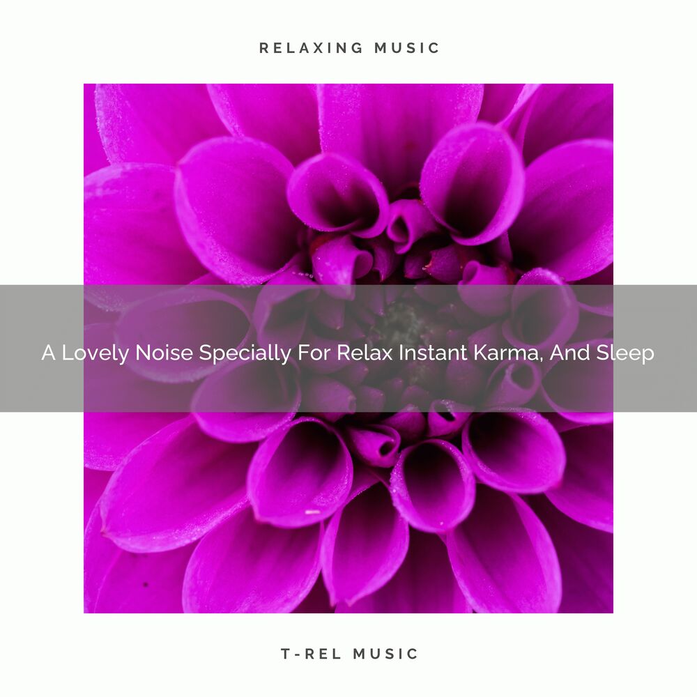 Picture of A Lovely Noise Specially For Relax Instant Karma, And Sleep