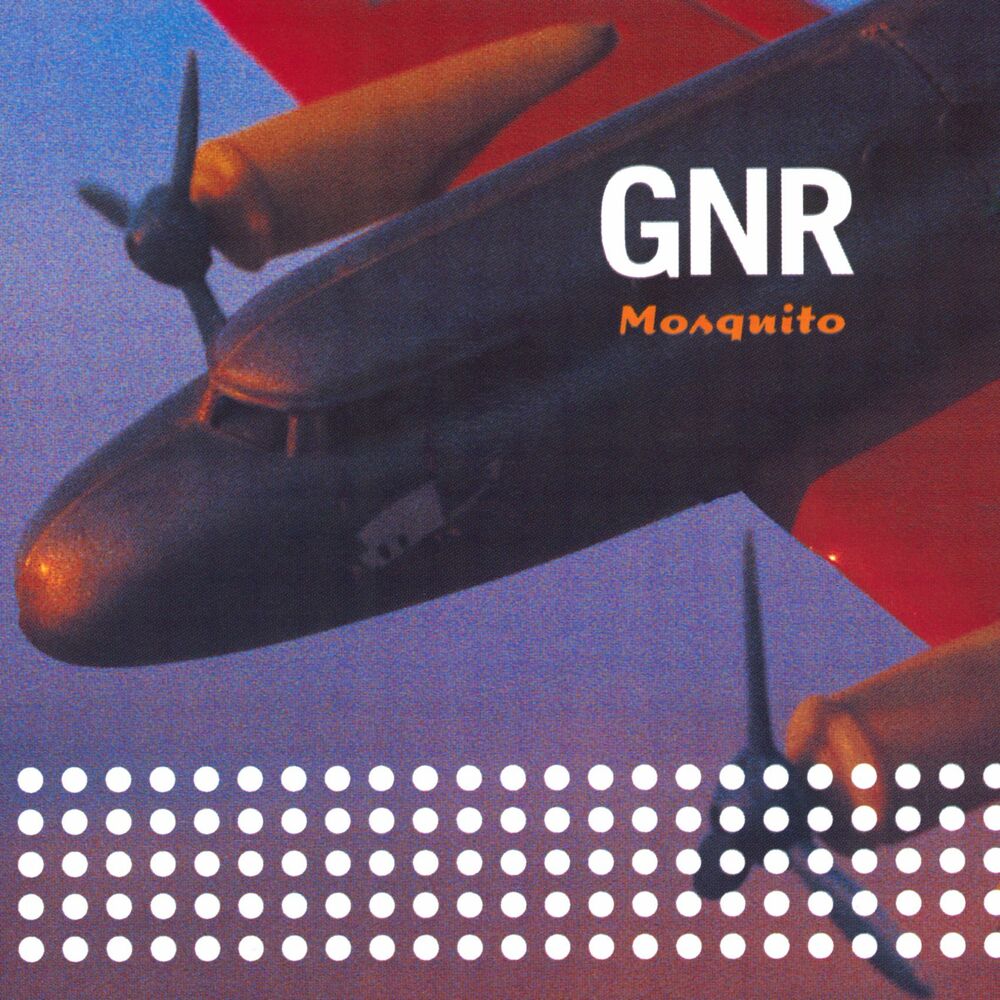 Picture of Mosquito