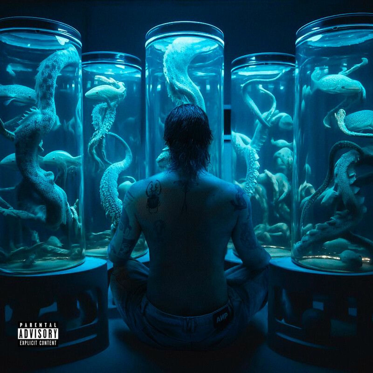 Album cover of 220v (Bivolt & Mílian Dolla RMX)