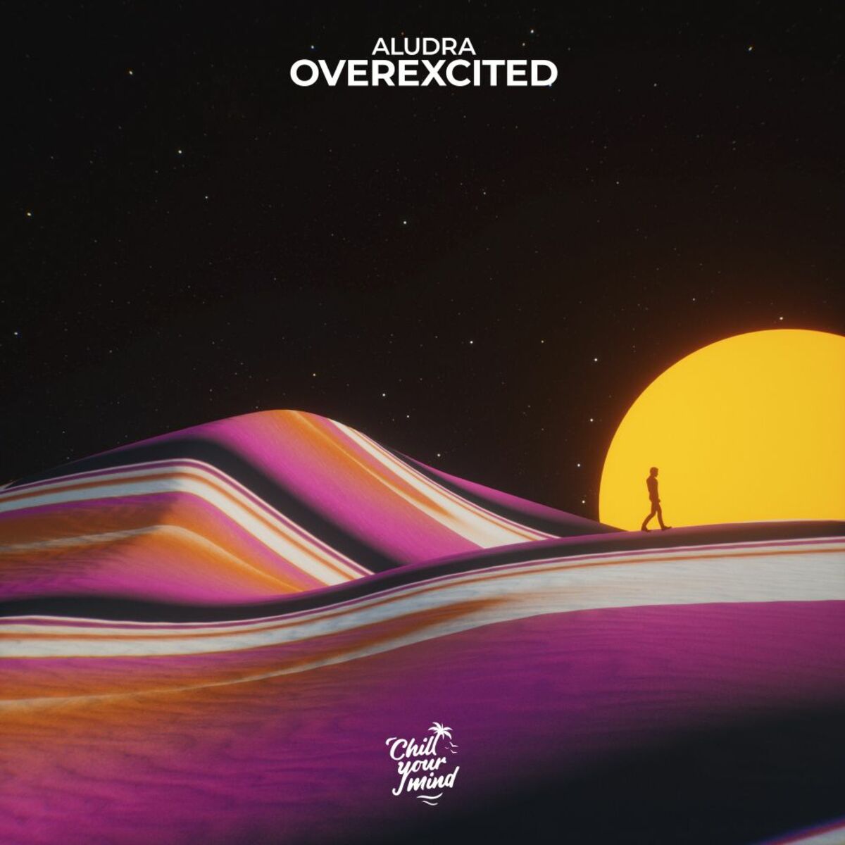 Album cover of Overexcited