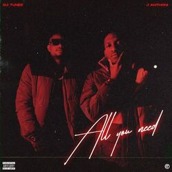 Cover of All You Need