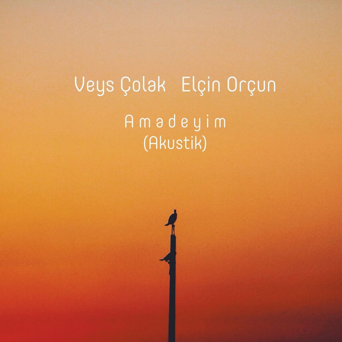 Album cover of Amadeyim (Akustik)