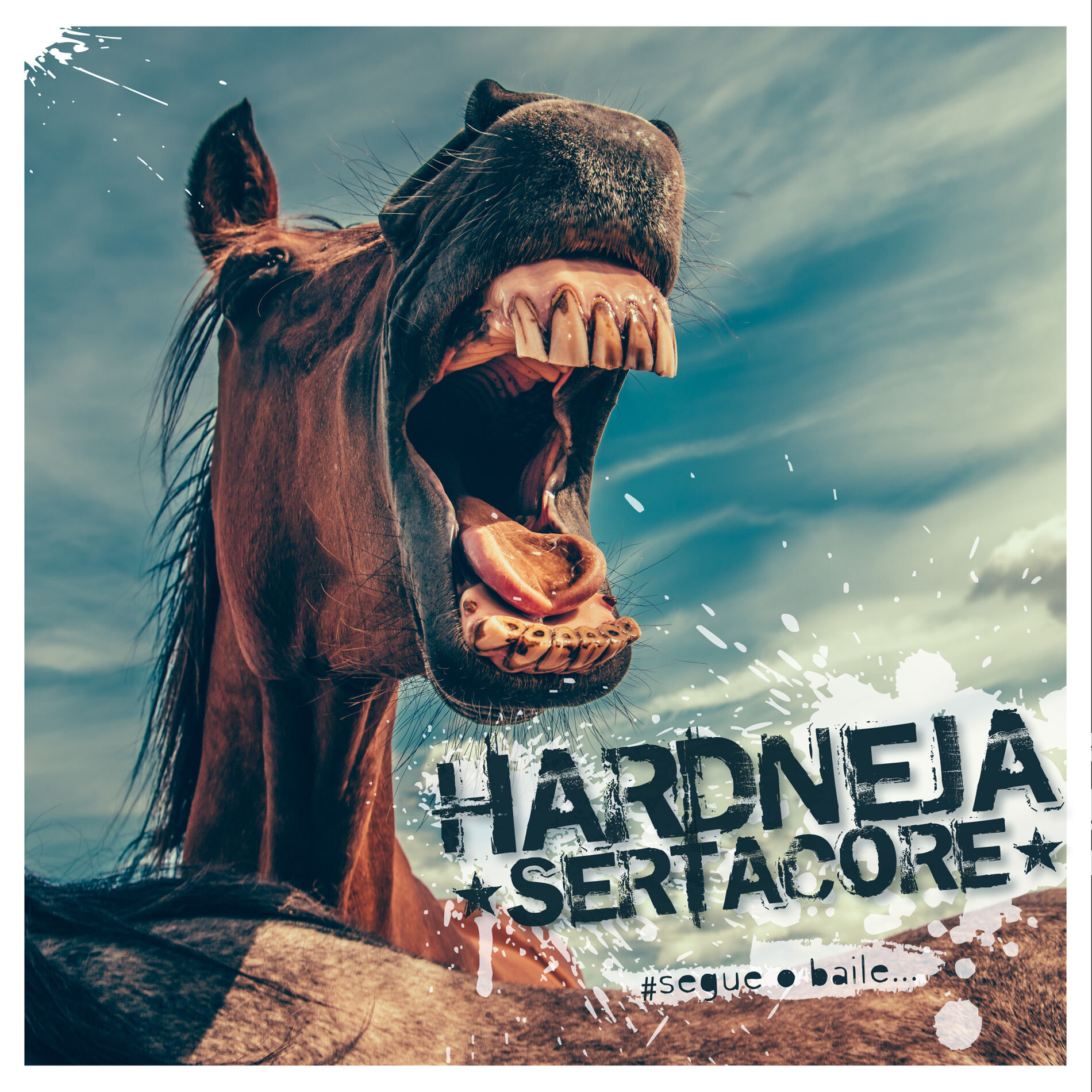 Album cover of Segue o Baile...