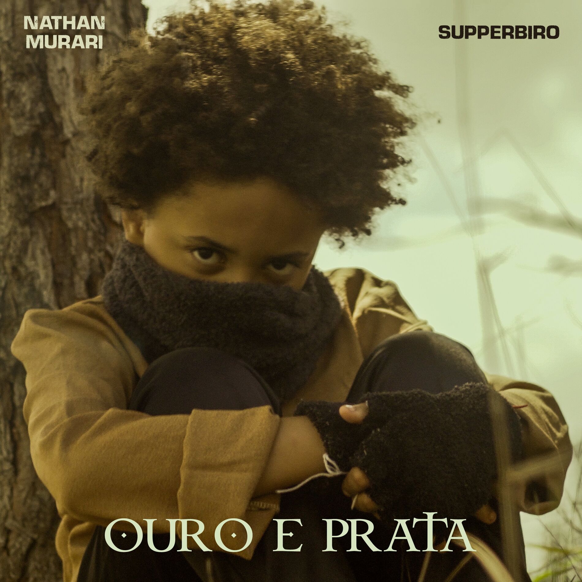 Album cover of Ouro e Prata