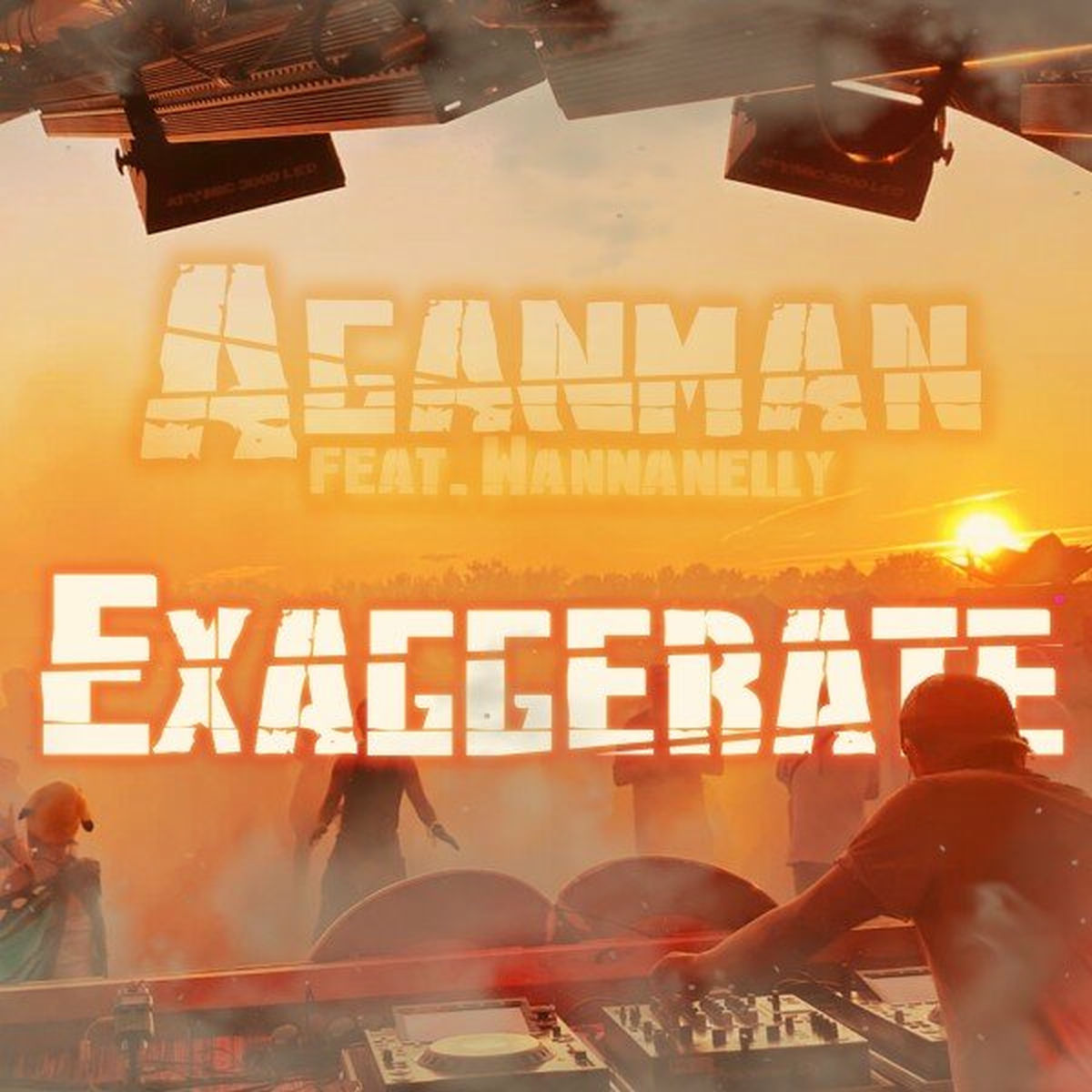 Album cover of Exaggerate