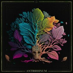 Cover of Antirrhinum
