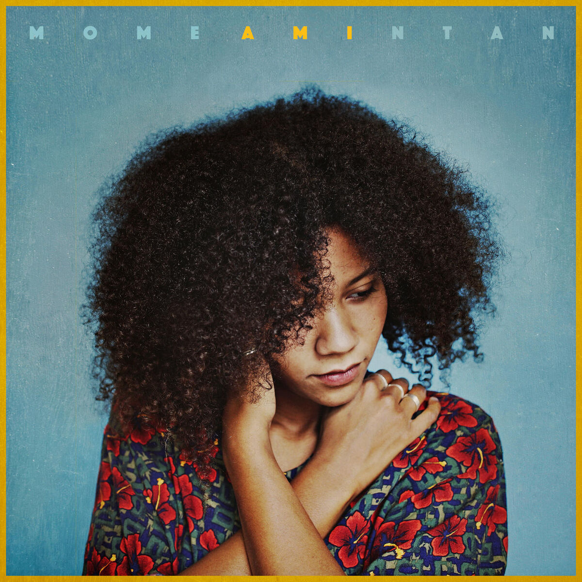 Album cover of Fliegen