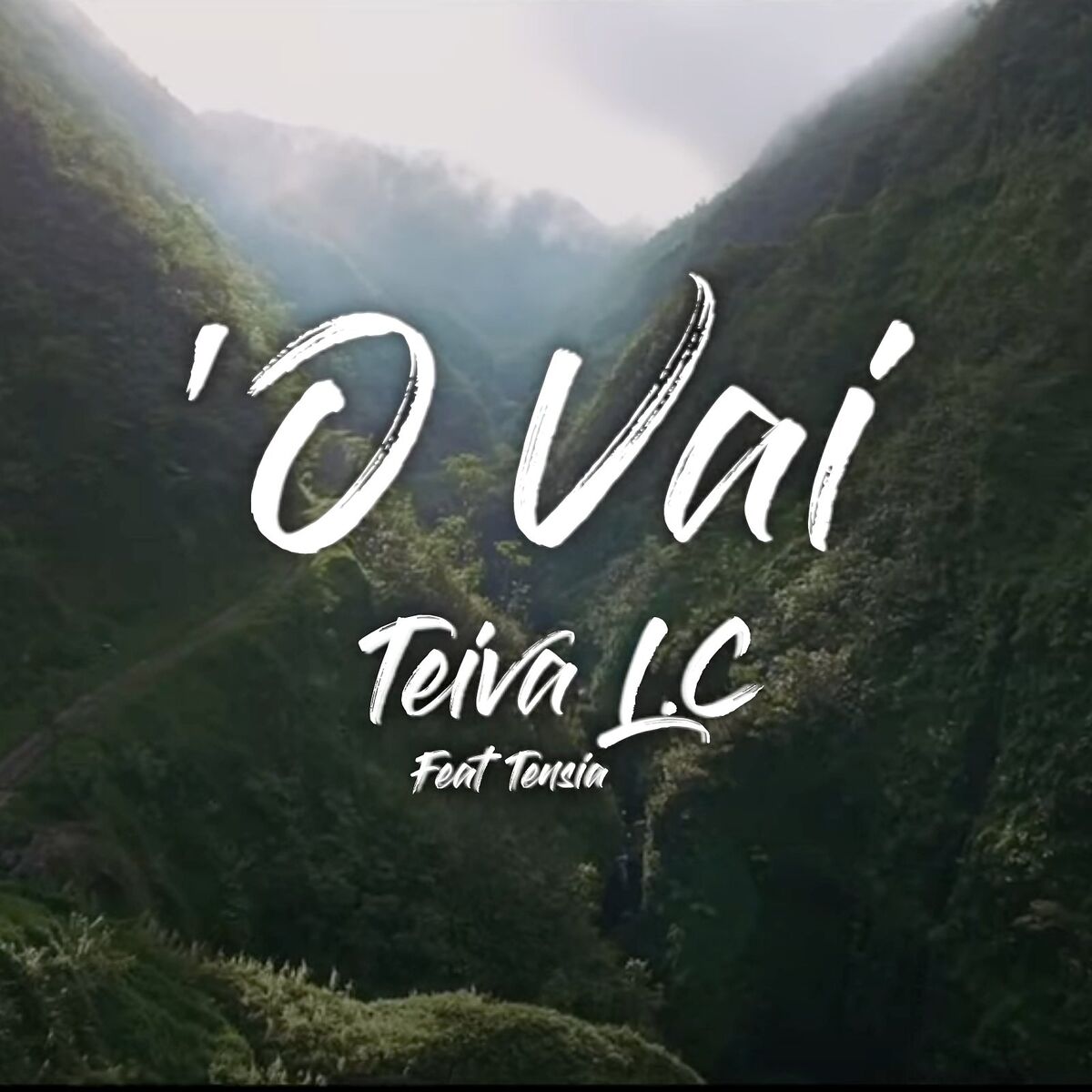 Album cover of O Vai