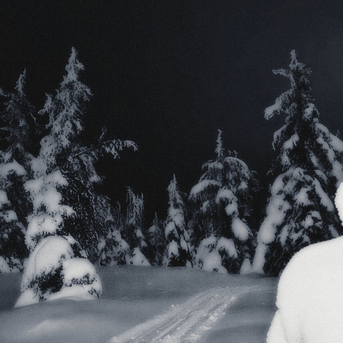 Album cover of WINTER ARC