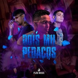 Cover of Dois Mil Pedaços