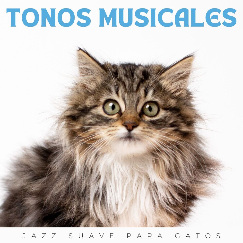 Picture of Tonos Musicales: Jazz Suave Para Gatos