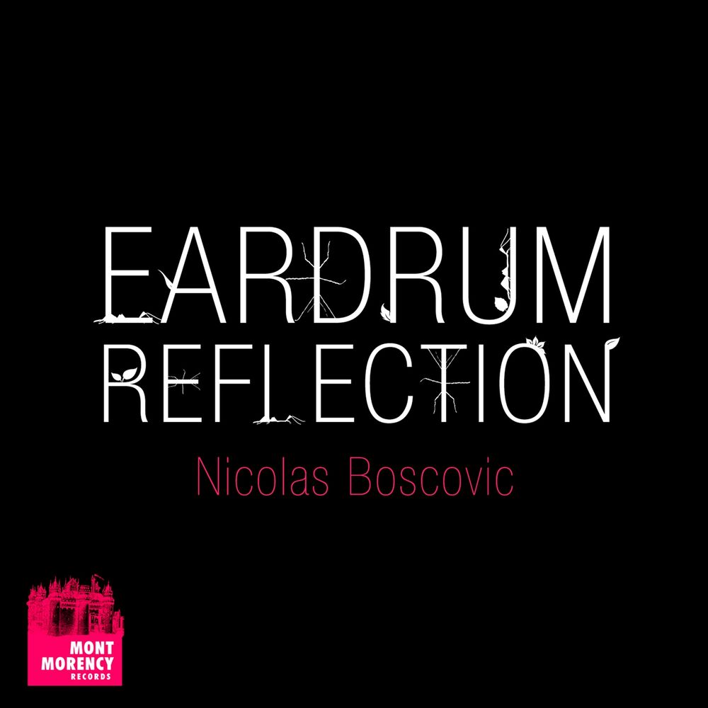 Picture of Eardrum Reflection