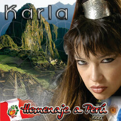 Cover of Homenaje a Perú