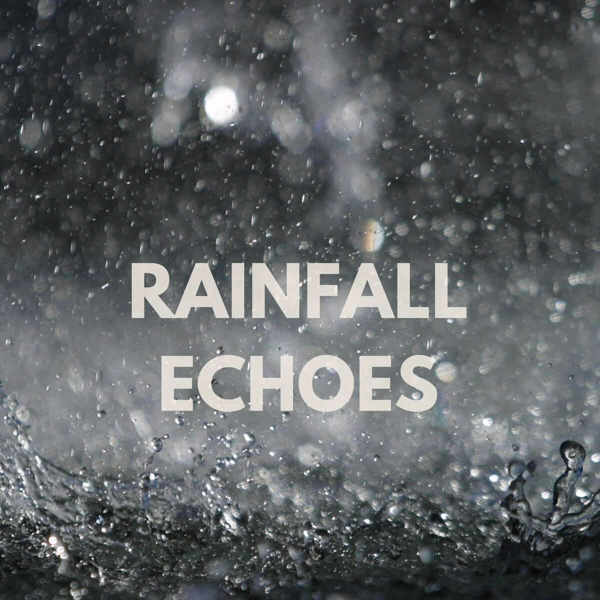 Album cover of Rainfall Echoes