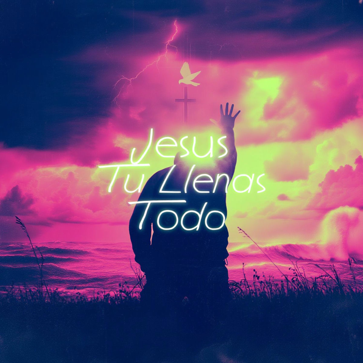 Album cover of Jesus Tu Llenas Todo