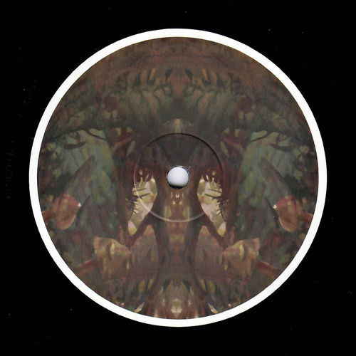 Regrowth by Birds ov Paradise - 120 BPM