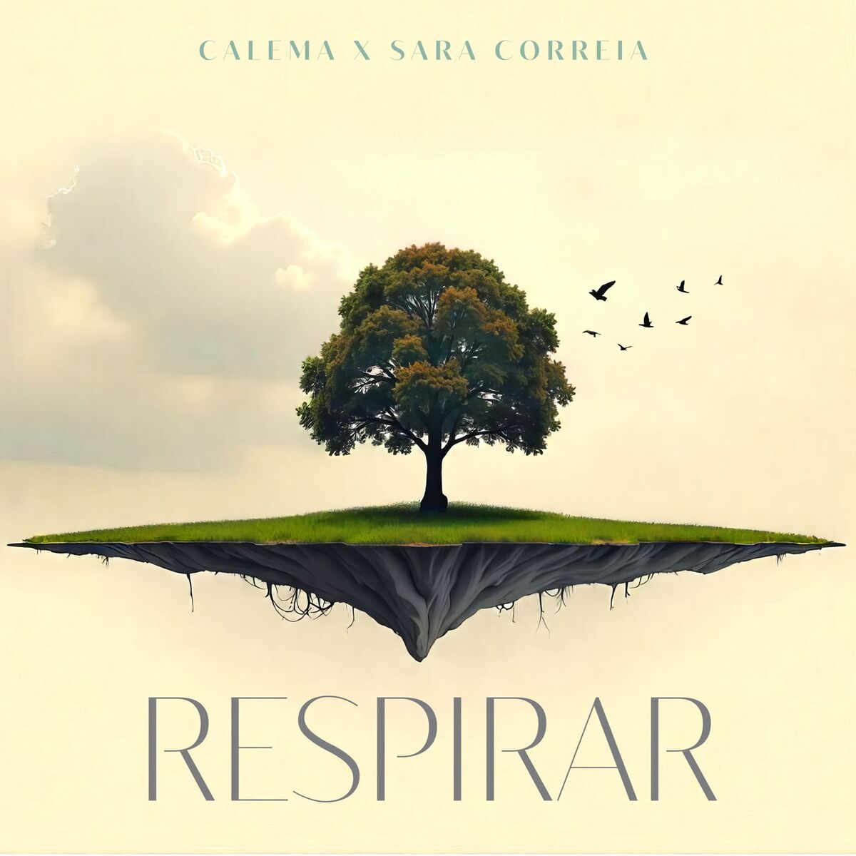 Album cover of Respirar