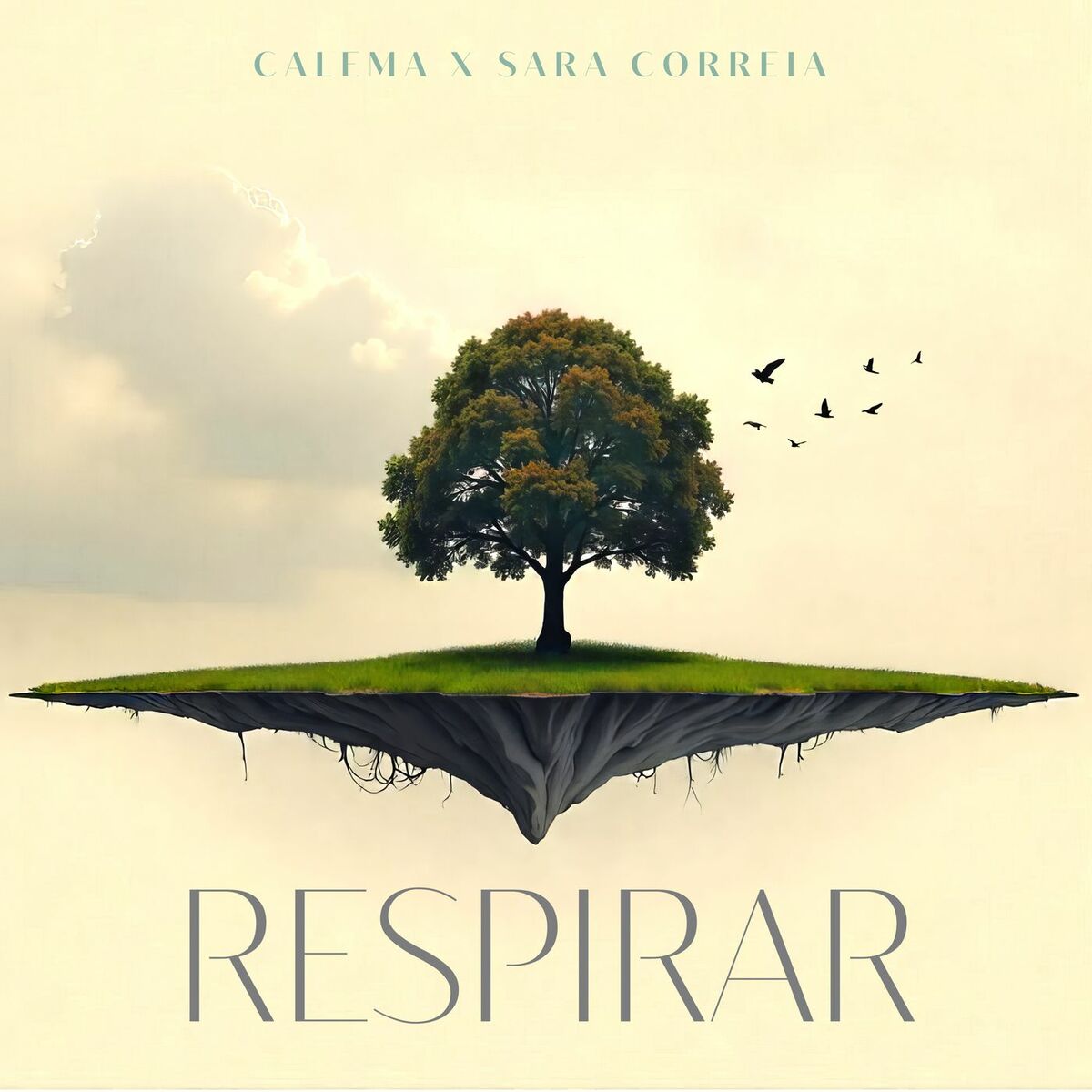 Album cover of Respirar