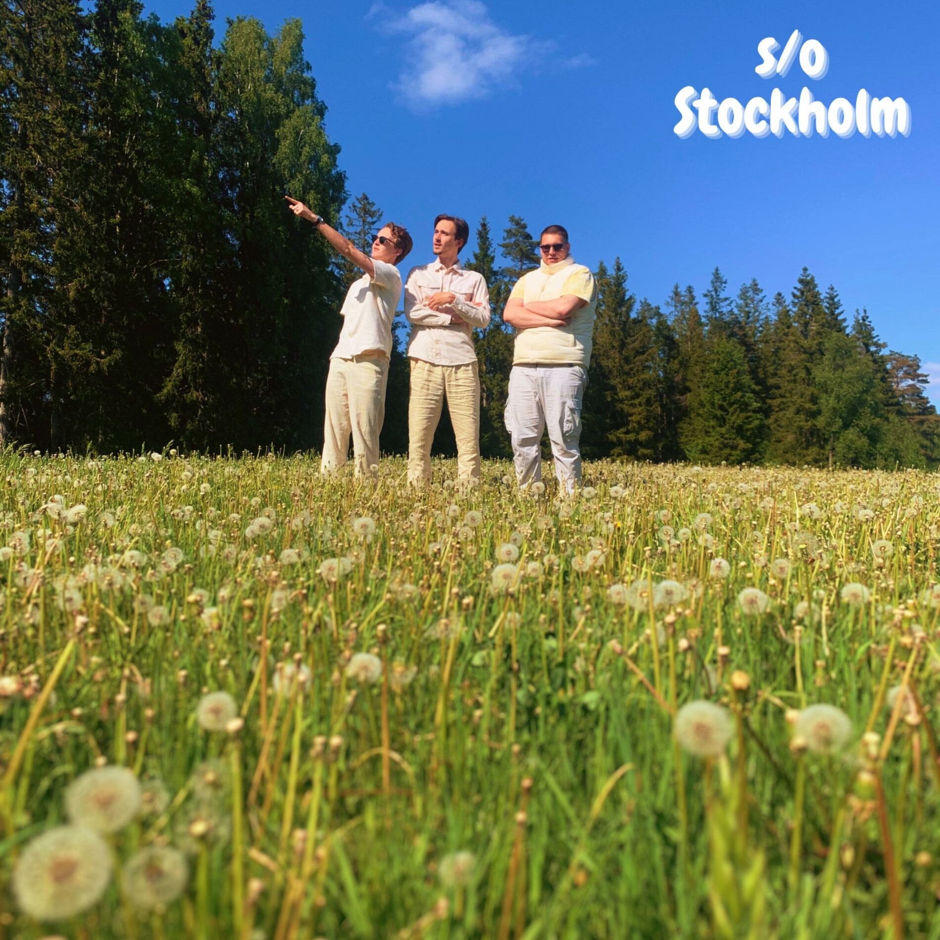 Album cover of s/o Stockholm (feat. Milian & Dillan)