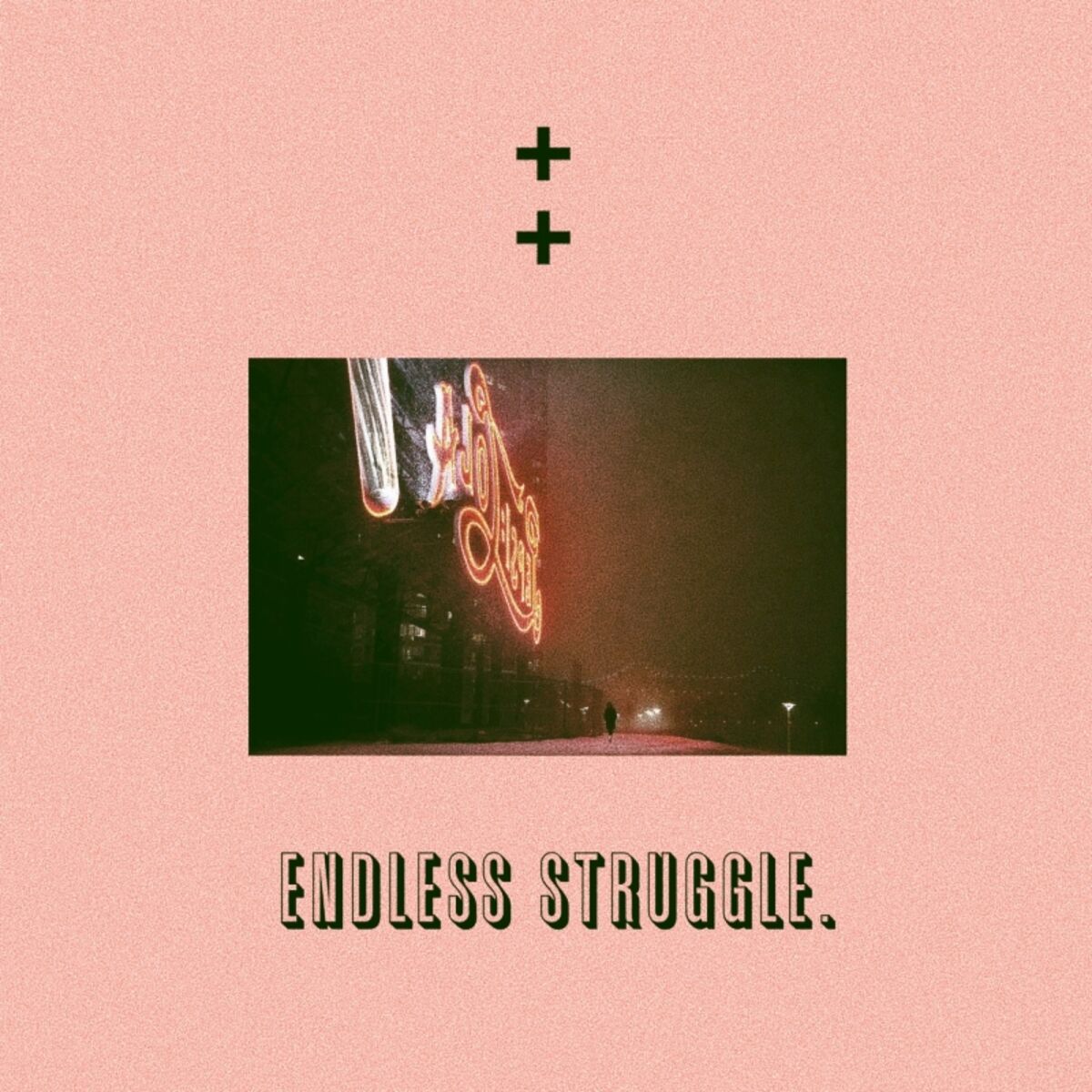 Album cover of Endless Struggle